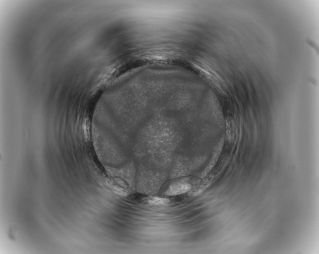 X0000094950718200712271657