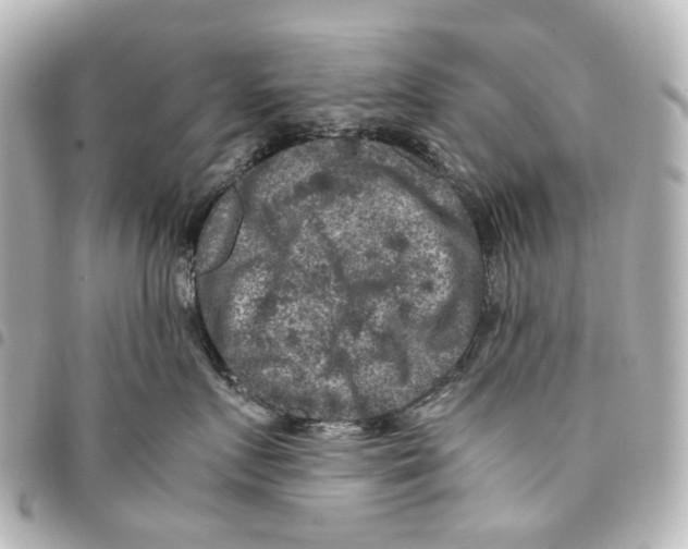 X0000094950719200712271657