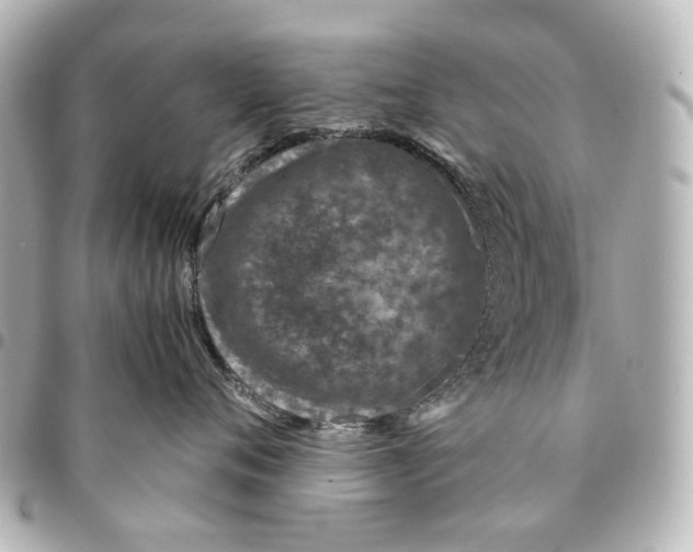 X0000094950720200712271657