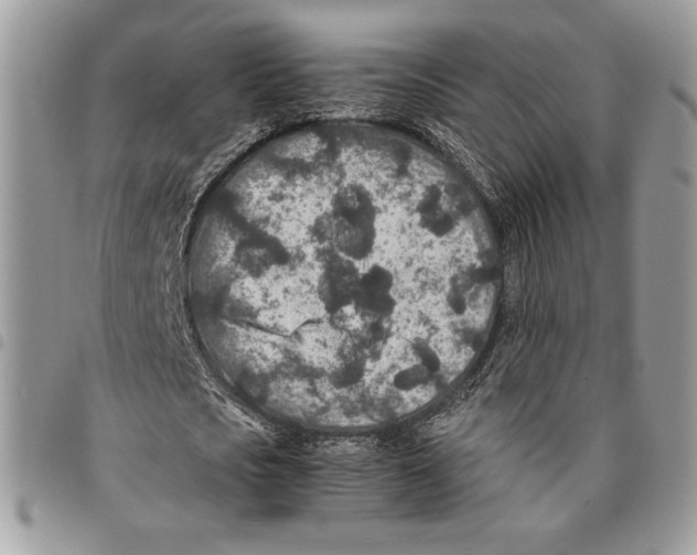 X0000094950721200712271656