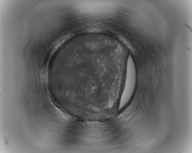 X0000094950722200712271656