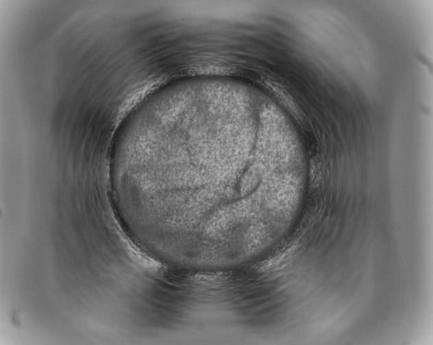 X0000094950725200712271656