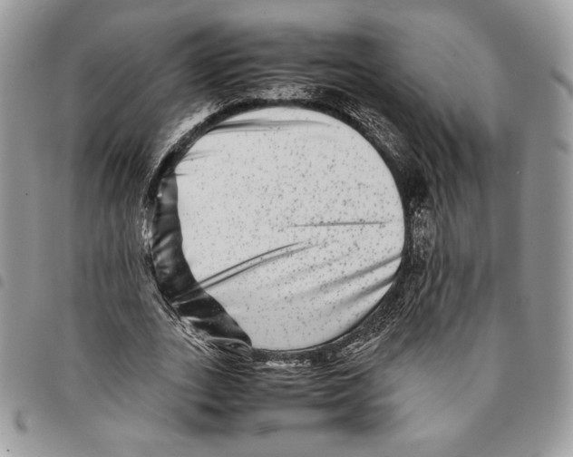 X0000094950727200712271656