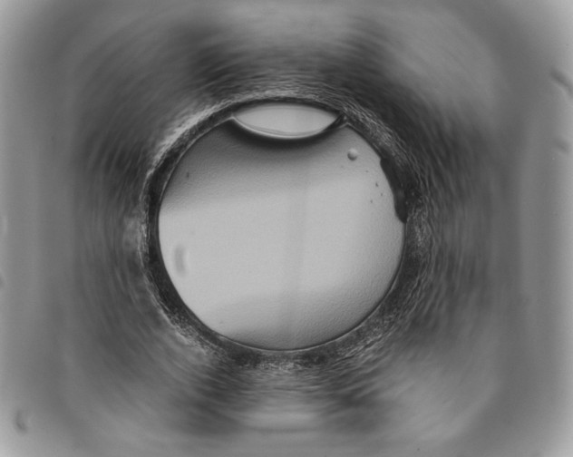 X0000094950728200712271657