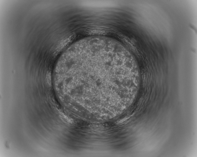 X0000094950729200712271657