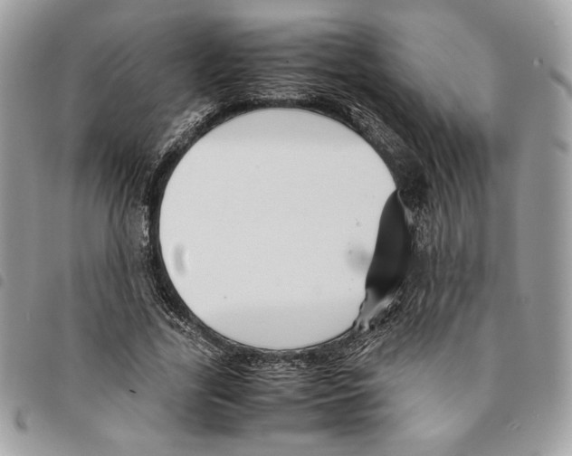 X0000094950731200712271657