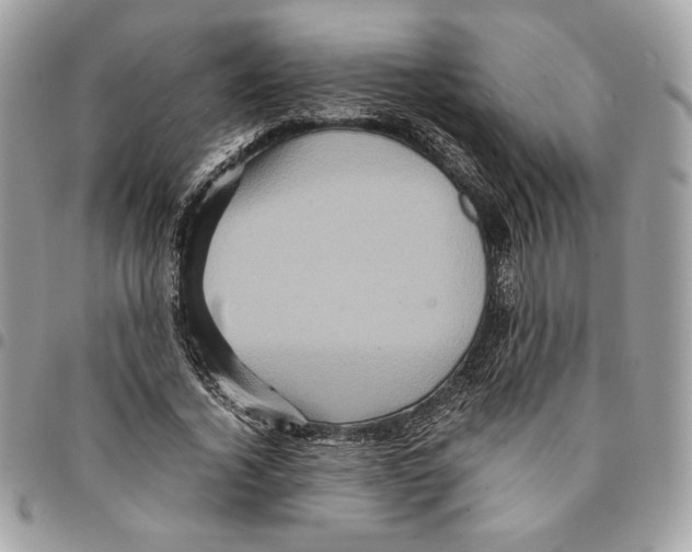 X0000094950732200712271657