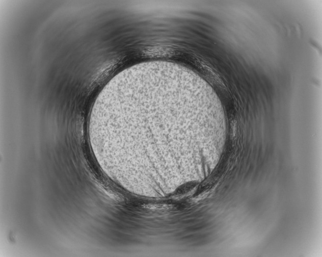 X0000094950733200712271657