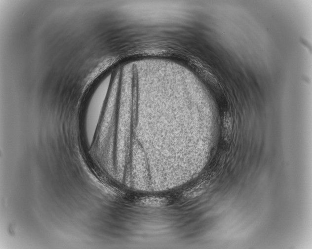 X0000094950734200712271657