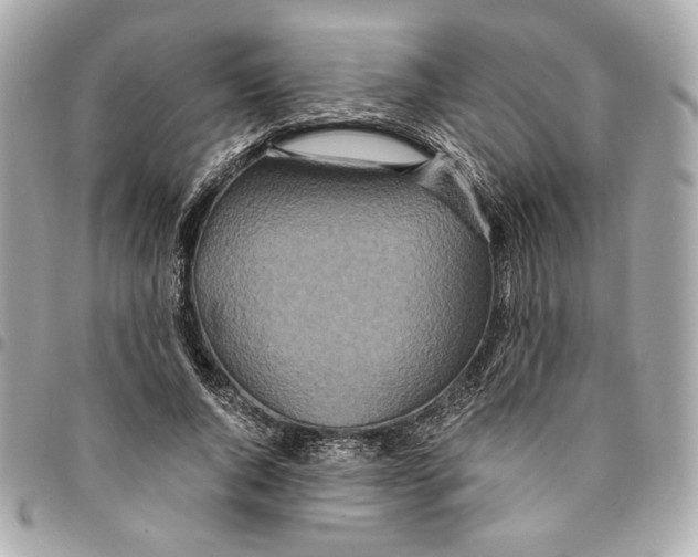 X0000094950736200712271657