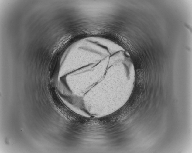 X0000094950738200712271657