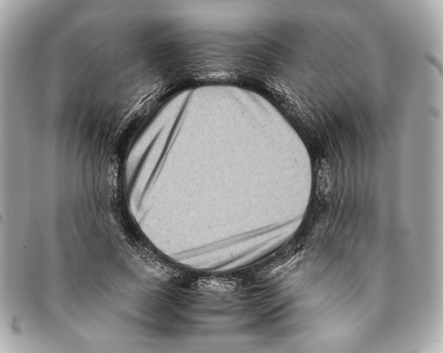 X0000094950739200712271657