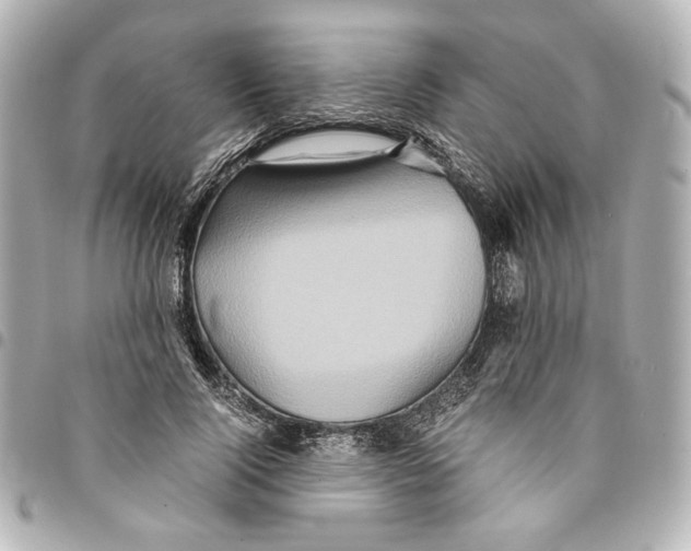 X0000094950740200712271657