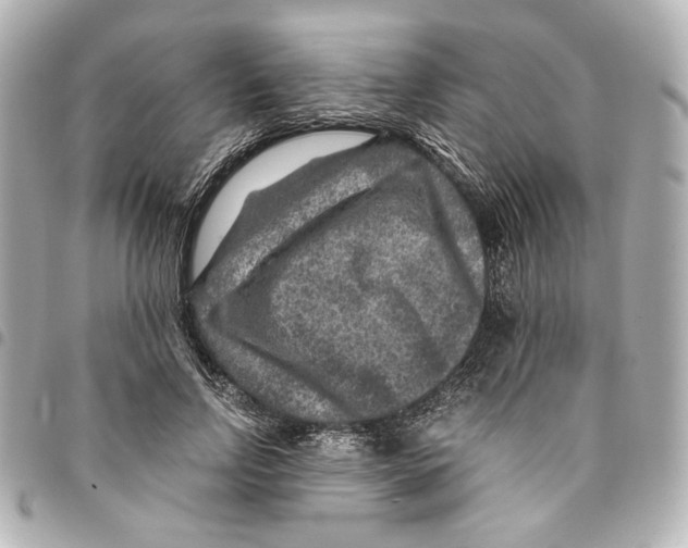 X0000094950742200712271657