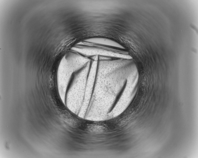 X0000094950743200712271657