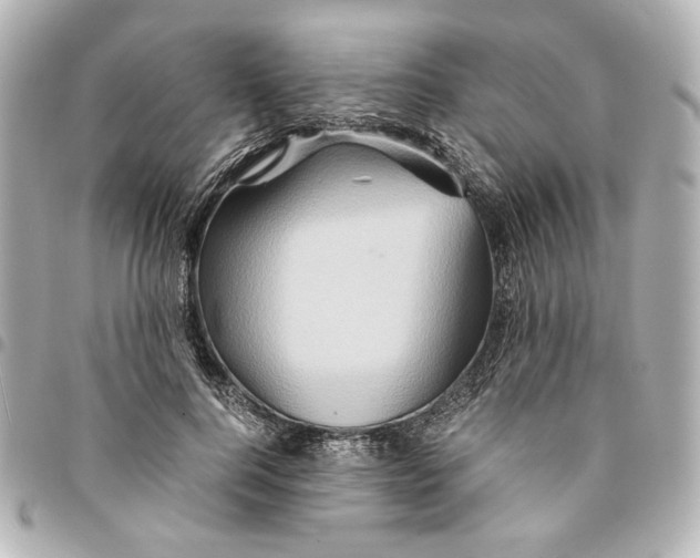 X0000094950744200712271657