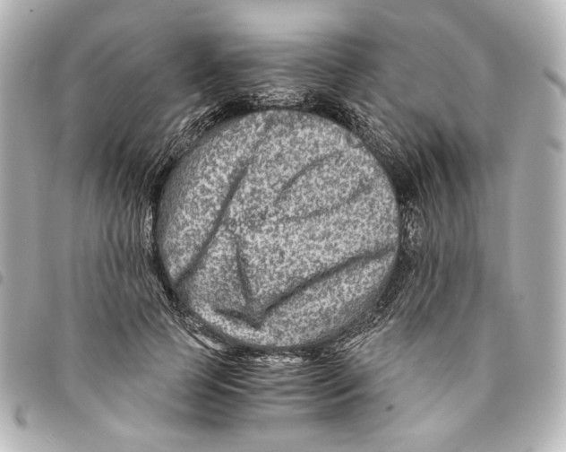 X0000094950745200712271657