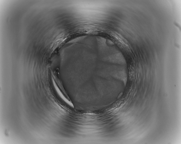 X0000094950748200712271657