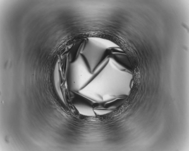 X0000094950750200712271657