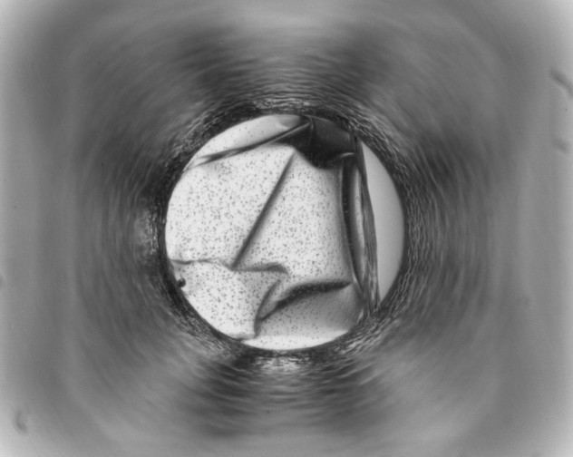 X0000094950751200712271657