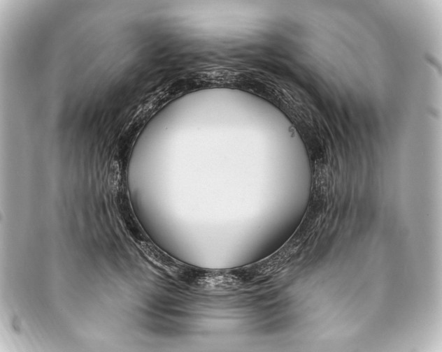 X0000094950752200712271657