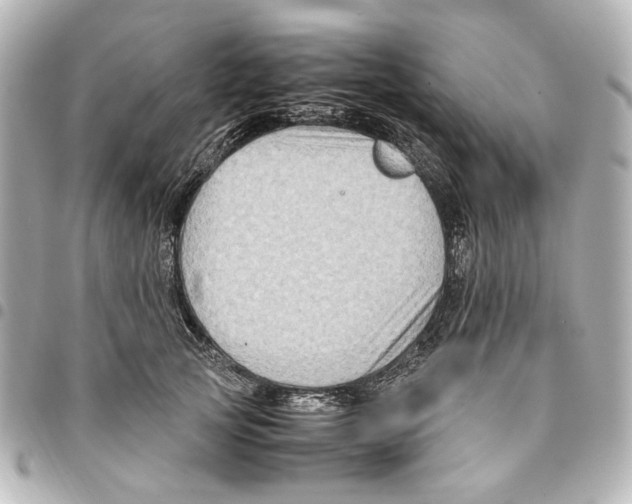 X0000094950753200712271657