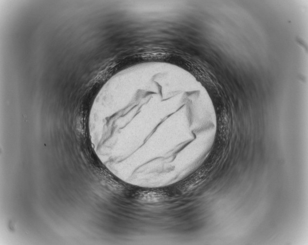 X0000094950755200712271657