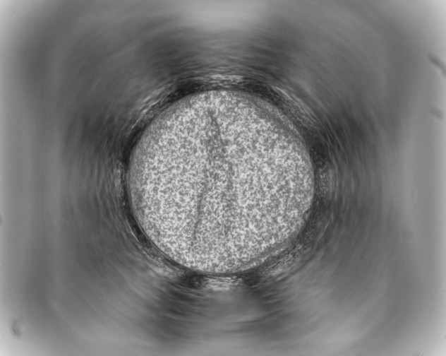 X0000094950757200712271657