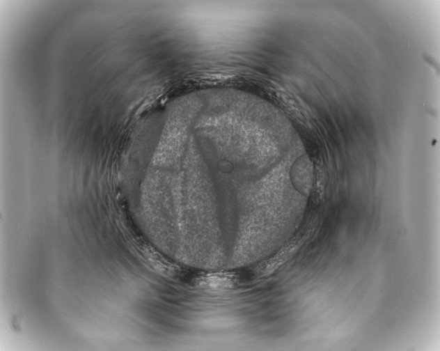 X0000094950758200712271657