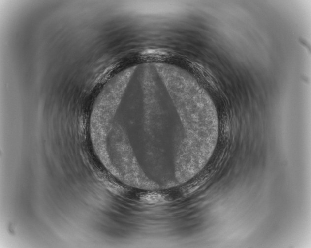 X0000094950759200712271657