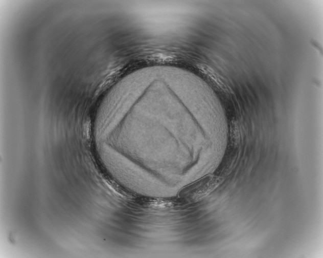 X0000094950760200712271657