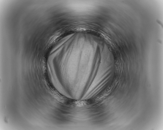 X0000094950762200712271657