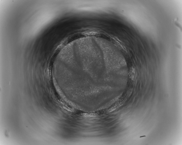 X0000094950763200712271657