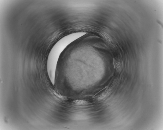 X0000094950766200712271657