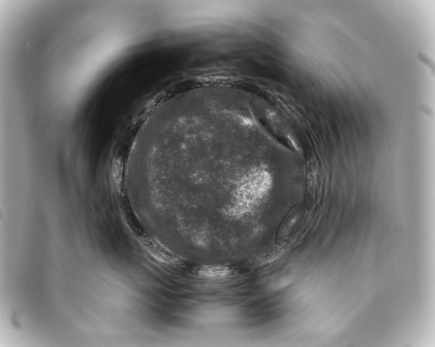 X0000094950767200712271657