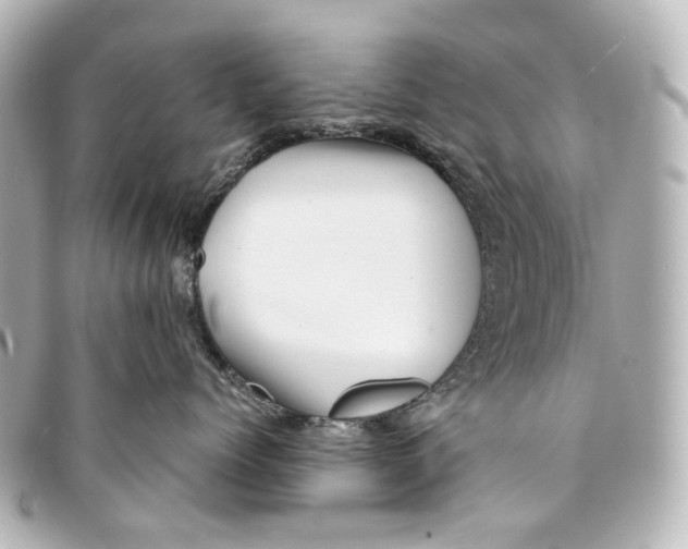 X0000094950768200712271657