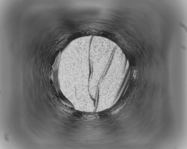 X0000094950771200712271656