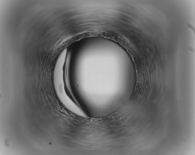 X0000094950773200712271656