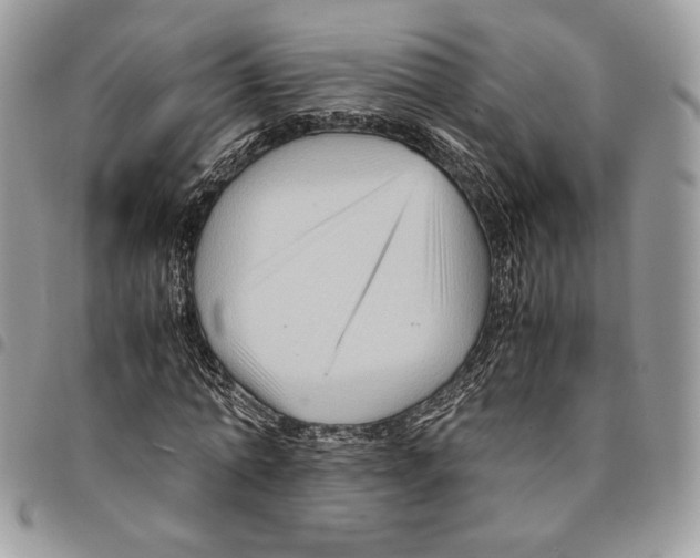 X0000094950774200712271656