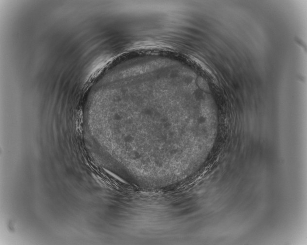 X0000094950775200712271656