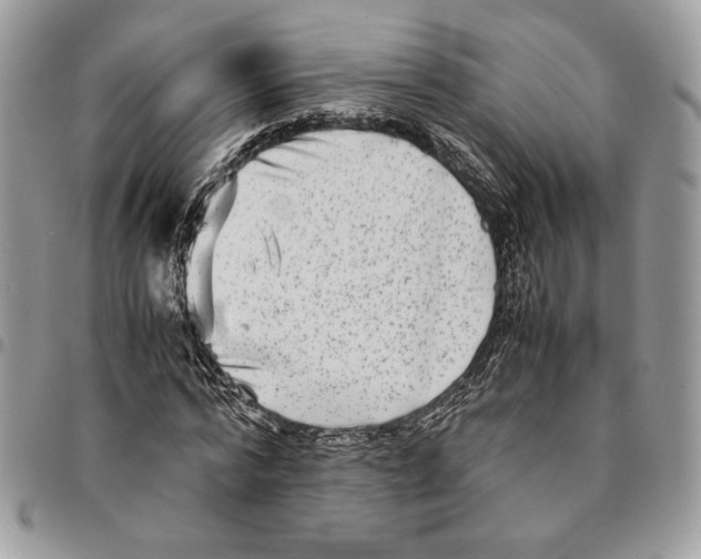 X0000094950776200712271656