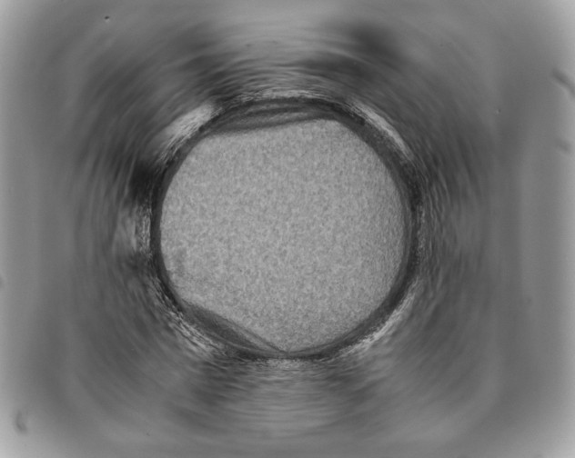 X0000094950777200712271656