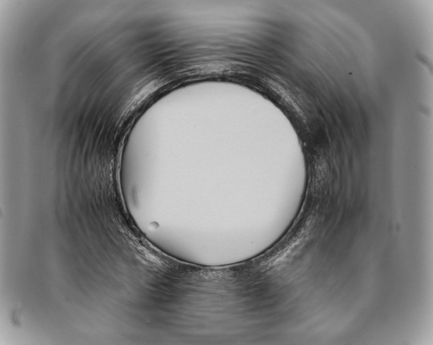 X0000094950778200712271656