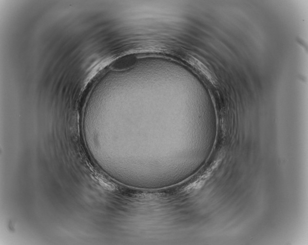 X0000094950781200712271656