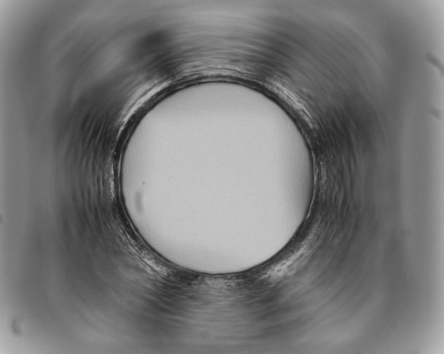 X0000094950782200712271656