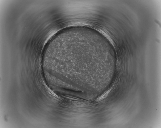 X0000094950783200712271656