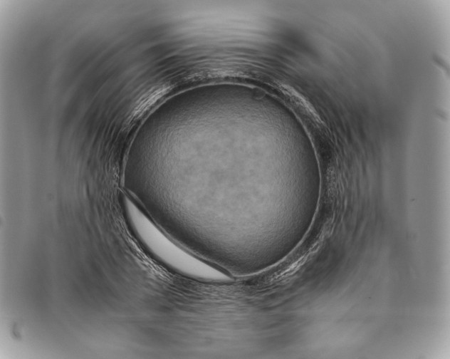 X0000094950785200712271656