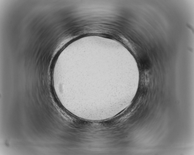 X0000094950787200712271656