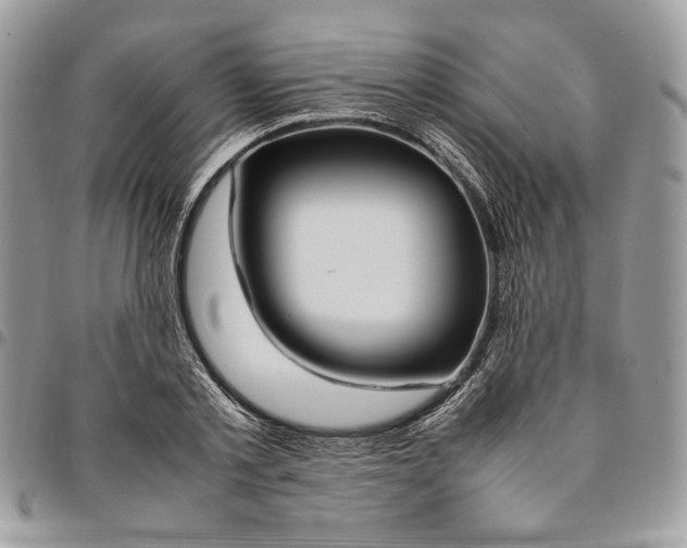 X0000094950789200712271656