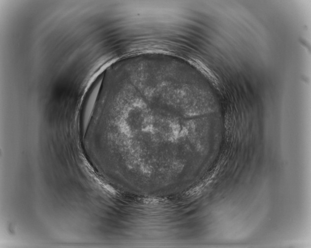 X0000094950790200712271656